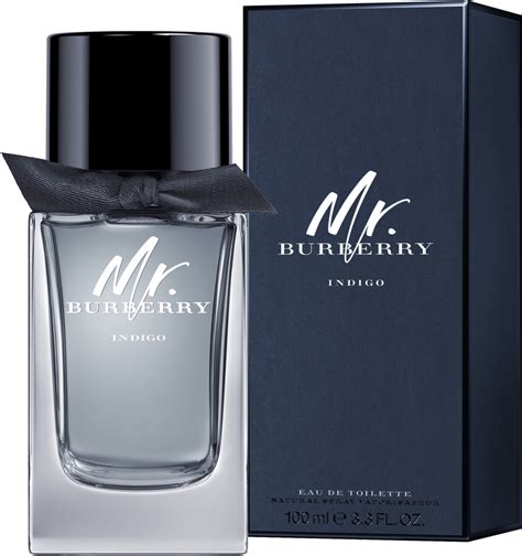 mr burberry idealo|Burberry Mr. Burberry Eau de Toilette .